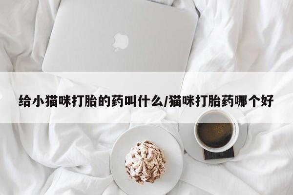 私人卖流产药的联系方式给小猫咪打胎的药叫什么/猫咪打胎药哪个好