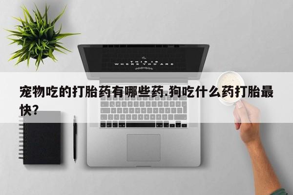 私人卖流产药的联系方式宠物吃的打胎药有哪些药.狗吃什么药打胎最快？
