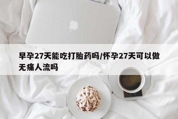 私人卖流产药的联系方式早孕27天能吃打胎药吗/怀孕27天可以做无痛人流吗