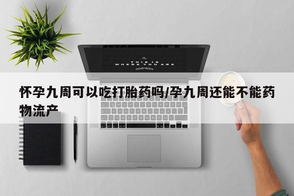 私人卖流产药的联系方式怀孕九周可以吃打胎药吗/孕九周还能不能药物流产