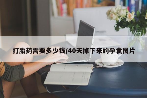 私人卖流产药的联系方式打胎药需要多少钱/40天掉下来的孕囊图片